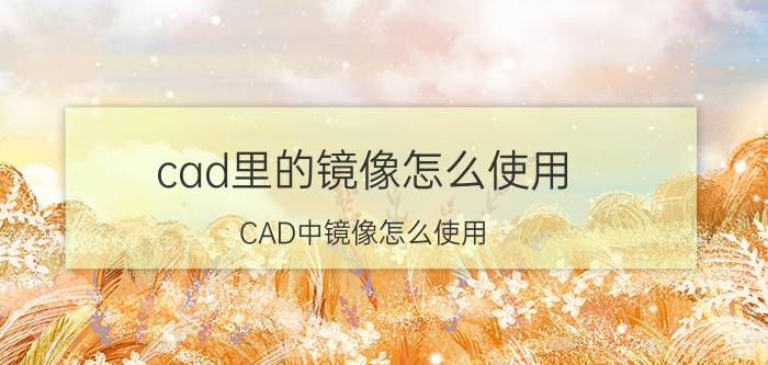 cad里的镜像怎么使用 CAD中镜像怎么使用？